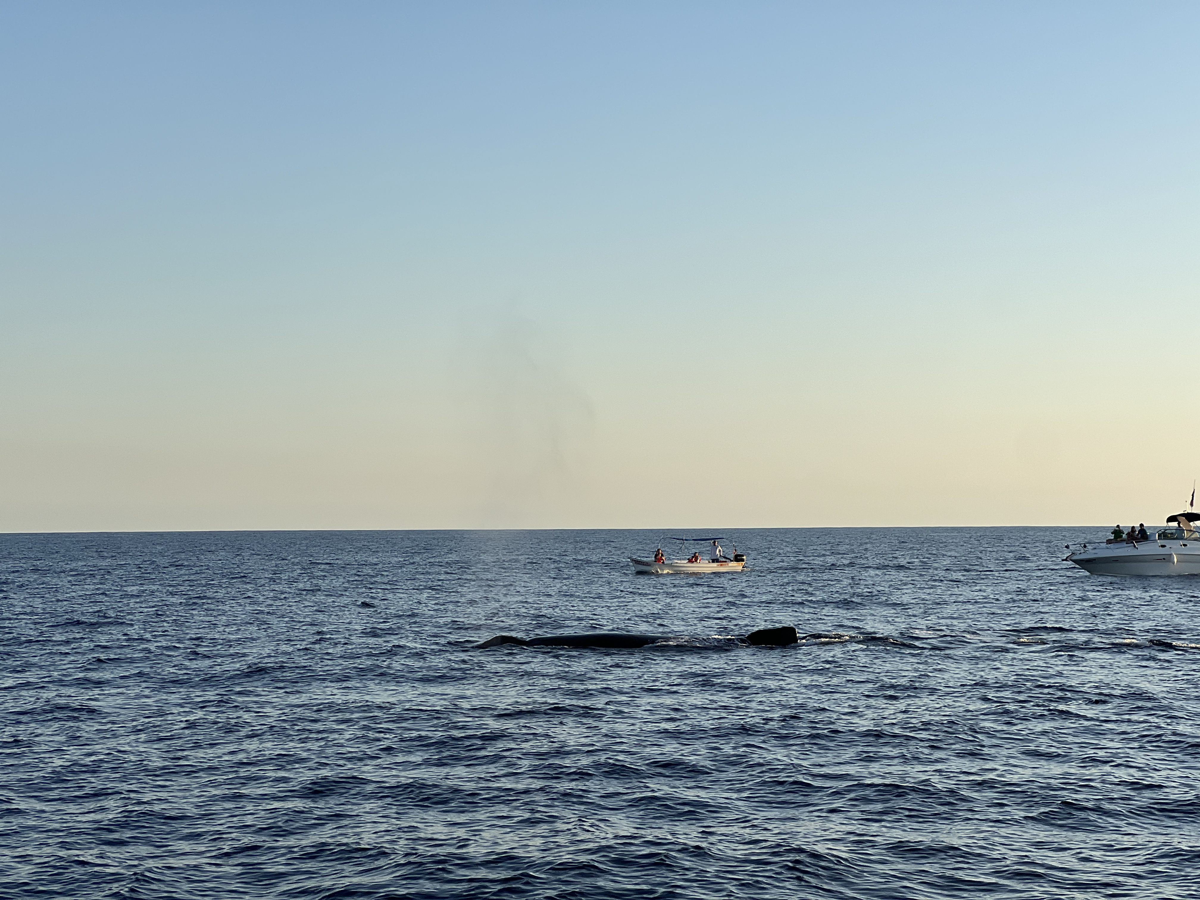 ./2024/13 - Cabo/IMG_4712.jpg